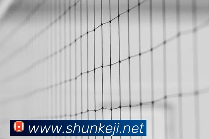 飞博体育品牌故事